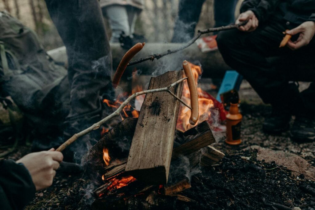 Best Camping Tips For Beginners